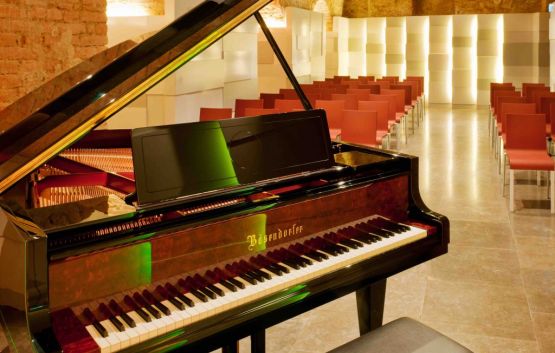 Bosendorfer Piano at Mozarthaus Vienna