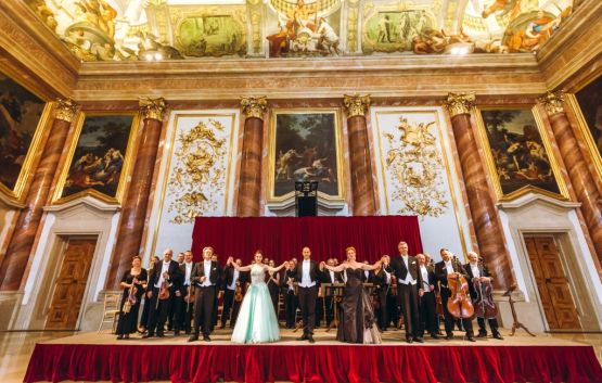 Vienna Hofburg Orchestra Concerts